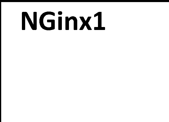 NGinx1